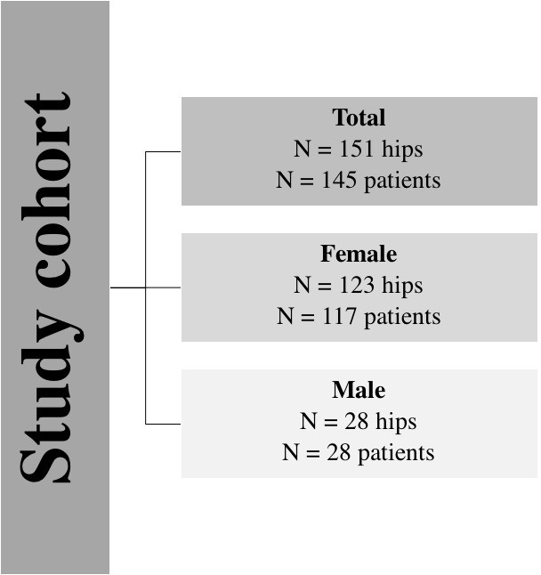 Fig. 1 
            Distribution of female and male patients.
          