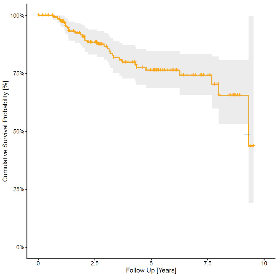 Fig. 1 
          Kaplan-Meier mortality curve of conversion to total hip arthroplasty. Shaded area represents 95% CI.
        