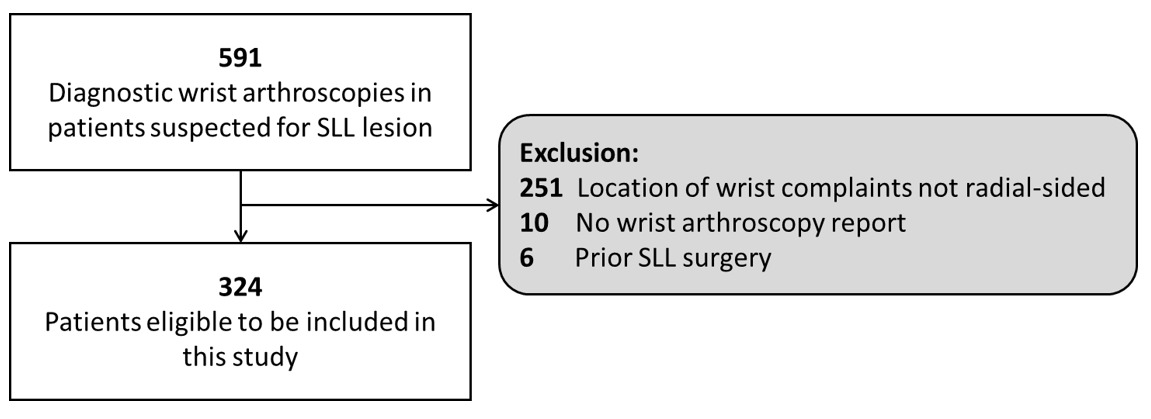 Fig. 1 
          Flowchart of patient selection. SLL, scapholunate ligament.
        